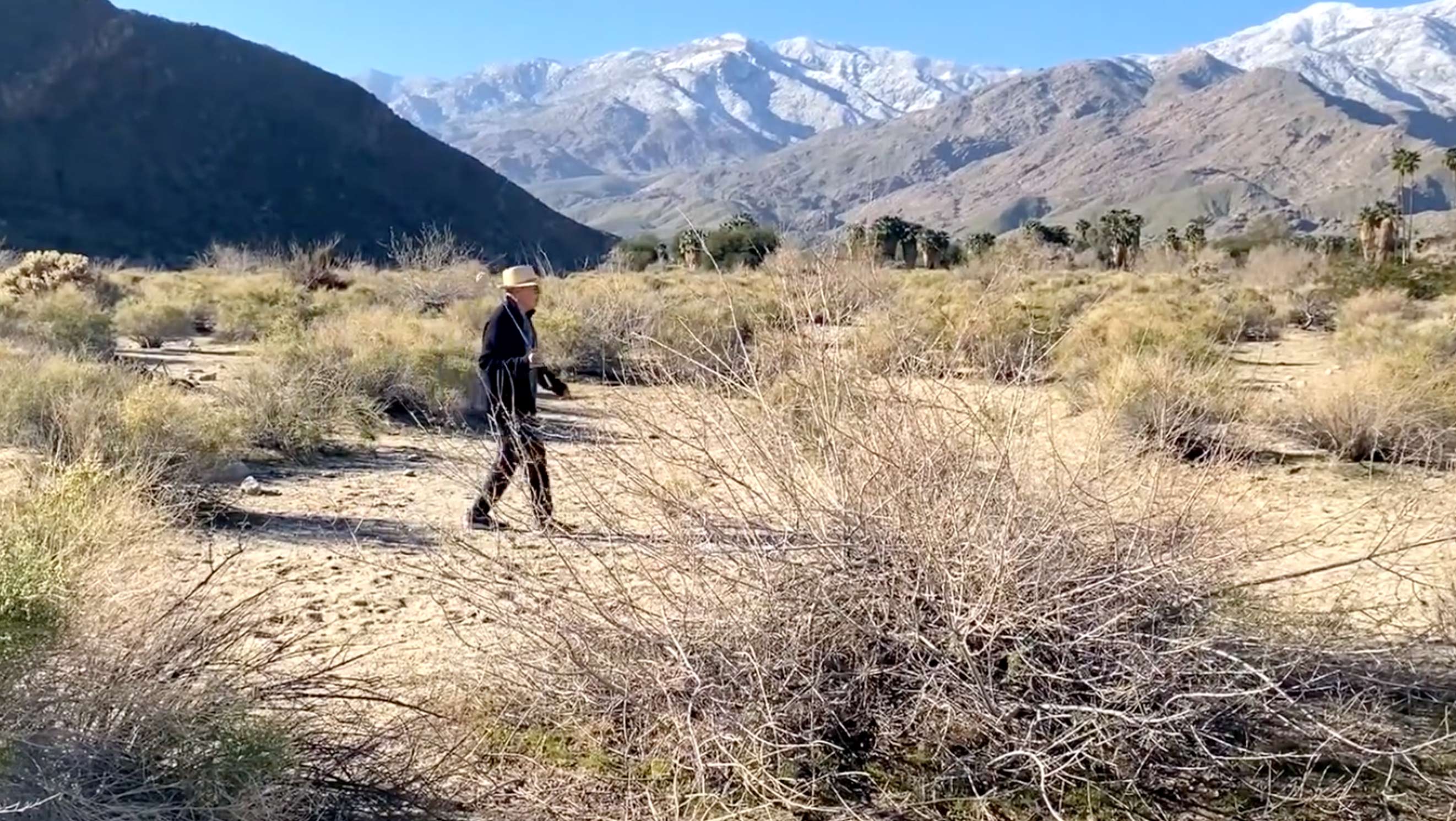 Load video: Ben Sidran peforms Swing State video in Palm Springs desert